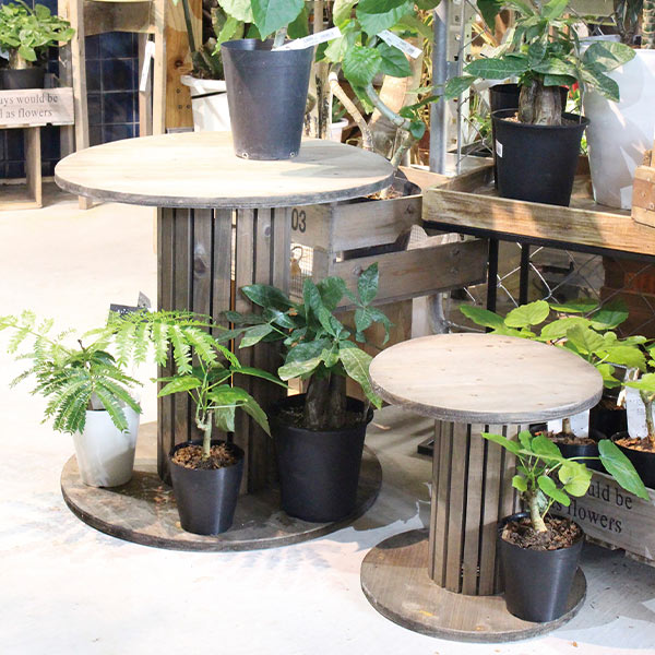 �ե�������� ���� �ץ�󥿡�������� ���� ���� �����ǥ˥󥰻��� �����ǥ˥� �����֥� �ɥ�� S������ ¼�Ĳ����� 6338 6339 �ơ��֥� ������� DIY ����̵�� 