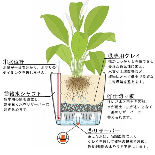 ����ȭ �ץ�󥿡� ������� �����ǥ˥󥰻��� ȭ ����塼�� �緿 ���塼�� �ץ�ߥ��� 40 ���ʼ� �ⵡǽ �������� �ͳ� ���� ��ñ CUBE PREMIUM LE-3440 ����̵�� 
