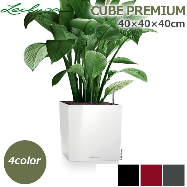 ����ȭ �ץ�󥿡� ������� �����ǥ˥󥰻��� ȭ ����塼�� �緿 ���塼�� �ץ�ߥ��� 40 ���ʼ� �ⵡǽ �������� �ͳ� ���� ��ñ CUBE PREMIUM LE-3440 ����̵�� 