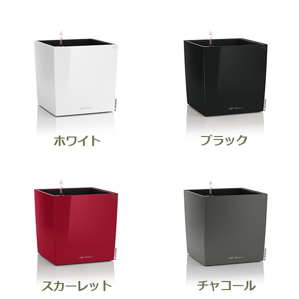 ����ȭ �ץ�󥿡� ������� �����ǥ˥󥰻��� ȭ ����塼�� �緿 ���塼�� �ץ�ߥ��� 40 ���ʼ� �ⵡǽ �������� �ͳ� ���� ��ñ CUBE PREMIUM LE-3440 ����̵�� 