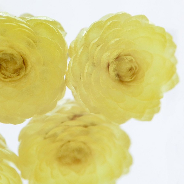 ɸ�� Ω�� ������� �� �޴� �ɥ饤�ե� ����ƥꥢ sora cube �� ���塼�� ���⡼�ƥ� ���ե� �ץ쥼��������� ���ꥹ�ޥ� ���� ���� ���� ���� ����̵�� ��åԥ��б� 