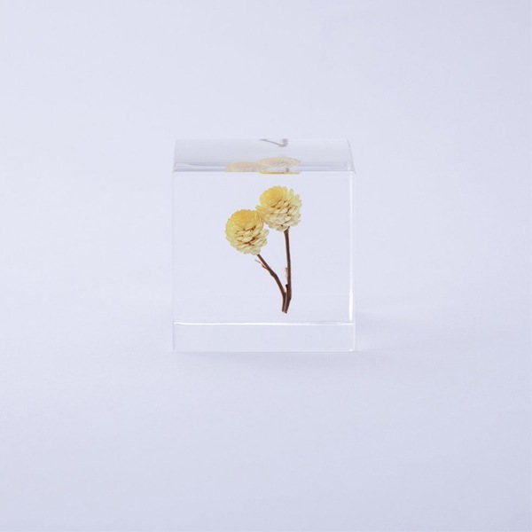 ɸ�� Ω�� ������� �� �޴� �ɥ饤�ե� ����ƥꥢ sora cube �� ���塼�� ���⡼�ƥ� ���ե� �ץ쥼��������� ���ꥹ�ޥ� ���� ���� ���� ���� ����̵�� ��åԥ��б� 