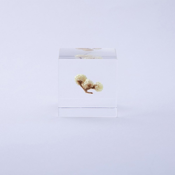 ɸ�� Ω�� ������� �� �޴� �ɥ饤�ե� ����ƥꥢ sora cube �� ���塼�� ���⡼�ƥ� ���ե� �ץ쥼��������� ���ꥹ�ޥ� ���� ���� ���� ���� ����̵�� ��åԥ��б� 