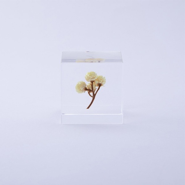 ɸ�� Ω�� ������� �� �޴� �ɥ饤�ե� ����ƥꥢ sora cube �� ���塼�� ���⡼�ƥ� ���ե� �ץ쥼��������� ���ꥹ�ޥ� ���� ���� ���� ���� ����̵�� ��åԥ��б� 