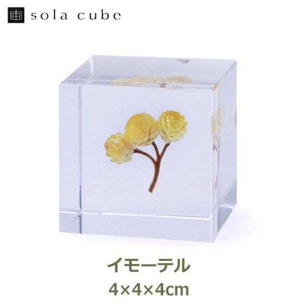 ɸ�� Ω�� ������� �� �޴� �ɥ饤�ե� ����ƥꥢ sora cube �� ���塼�� ���⡼�ƥ� ���ե� �ץ쥼��������� ���ꥹ�ޥ� ���� ���� ���� ���� ����̵�� ��åԥ��б� 