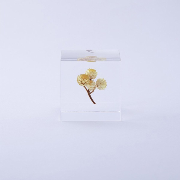 ɸ�� Ω�� ������� �� �޴� �ɥ饤�ե� ����ƥꥢ sora cube �� ���塼�� ���⡼�ƥ� ���ե� �ץ쥼��������� ���ꥹ�ޥ� ���� ���� ���� ���� ����̵�� ��åԥ��б� 