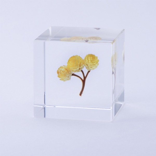 ɸ�� Ω�� ������� �� �޴� �ɥ饤�ե� ����ƥꥢ sora cube �� ���塼�� ���⡼�ƥ� ���ե� �ץ쥼��������� ���ꥹ�ޥ� ���� ���� ���� ���� ����̵�� ��åԥ��б� 