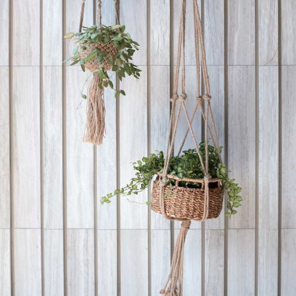 �ߤ겼�� ���� �ϥ󥮥� �Х����å� ���塼�� ���Ԥ� 16 �ץ�󥿡� ������� ȭ �ݥå� �� ���� ��ʪ �ʥ����� ����ƥꥢ ����ץ� ��å� ��Ǽ 39012 ����̵�� ��åԥ��б� 