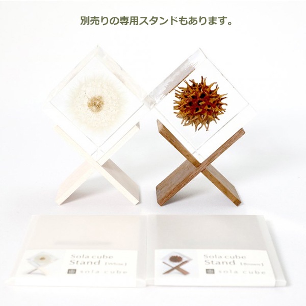 ɸ�� Ω�� ������� �� �޴� �ɥ饤�ե� ����ƥꥢ sora cube �� ���塼�� �ۥ����� ���� ���ե� �ץ쥼��������� ���ꥹ�ޥ� ���� ���� ���� ���� ����̵�� ��åԥ��б� 