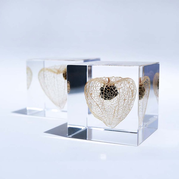 ɸ�� Ω�� ������� �� �޴� �ɥ饤�ե� ����ƥꥢ sora cube �� ���塼�� �ۥ����� ���� ���ե� �ץ쥼��������� ���ꥹ�ޥ� ���� ���� ���� ���� ����̵�� ��åԥ��б� 