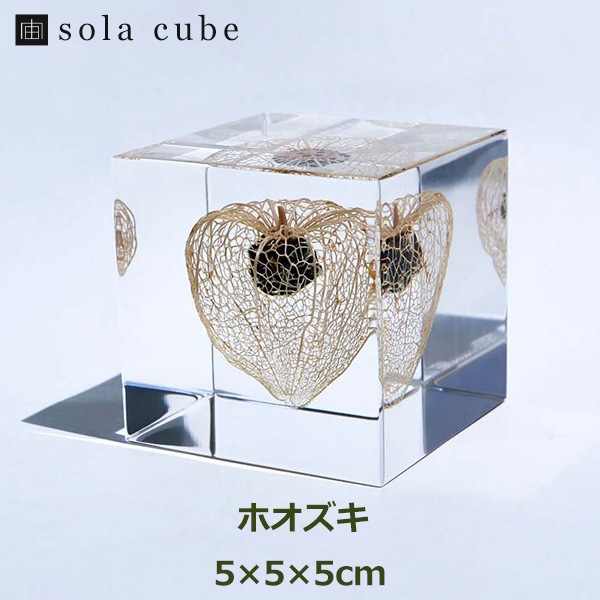 ɸ�� Ω�� ������� �� �޴� �ɥ饤�ե� ����ƥꥢ sora cube �� ���塼�� �ۥ����� ���� ���ե� �ץ쥼��������� ���ꥹ�ޥ� ���� ���� ���� ���� ����̵�� ��åԥ��б� 