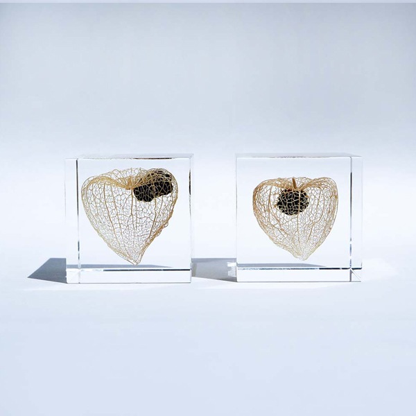 ɸ�� Ω�� ������� �� �޴� �ɥ饤�ե� ����ƥꥢ sora cube �� ���塼�� �ۥ����� ���� ���ե� �ץ쥼��������� ���ꥹ�ޥ� ���� ���� ���� ���� ����̵�� ��åԥ��б� 