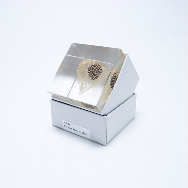 ɸ�� Ω�� ������� �� �޴� �ɥ饤�ե� ����ƥꥢ sora cube �� ���塼�� �ۥ����� ���� ���ե� �ץ쥼��������� ���ꥹ�ޥ� ���� ���� ���� ���� ����̵�� ��åԥ��б� 