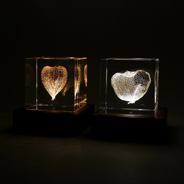 ɸ�� Ω�� ������� �� �޴� �ɥ饤�ե� ����ƥꥢ sora cube �� ���塼�� �ۥ����� ���� ���ե� �ץ쥼��������� ���ꥹ�ޥ� ���� ���� ���� ���� ����̵�� ��åԥ��б� 