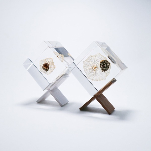 ɸ�� Ω�� ������� �� �޴� �ɥ饤�ե� ����ƥꥢ sora cube �� ���塼�� �ۥ����� ���� ���ե� �ץ쥼��������� ���ꥹ�ޥ� ���� ���� ���� ���� ����̵�� ��åԥ��б� 
