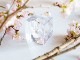 �襭�塼�� ���ᥤ�襷�� 4cm Sola cube ������ �� �������Υͥɥ� ���饭�塼�� ���ꥢ ������� �ץ쥼��� ���ե� ���ˤ� ������ �� Ʃ�� �� Ω��ɸ�� ����ƥꥢ ��ʪ �ե� ��ʪ ���� ���֥��� ���� ����̵�� 