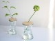 ɥ ܥȥ ǥꥫ ƥå 330ml WW S106 DRINK BOTTLE DELIKATESSEN WECK å 饹 å ֥顼 ¸ƴ 襤 ʪ  