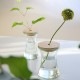 ɥ ܥȥ ǥꥫ ƥå 330ml WW S106 DRINK BOTTLE DELIKATESSEN WECK å 饹 å ֥顼 ¸ƴ 襤 ʪ  
