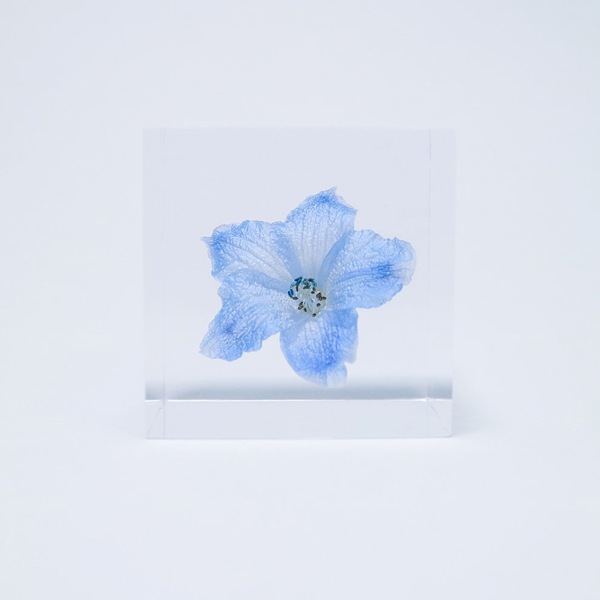 ɸ�� Ω�� �� �޴� �ɥ饤�ե� ����ƥꥢ sora cube �� ���塼�� �ǥ�ե��˥��� ���ե� �ץ쥼��������� ���ꥹ�ޥ� ���� ���� ���� ���� ����̵�� ��åԥ��б� 