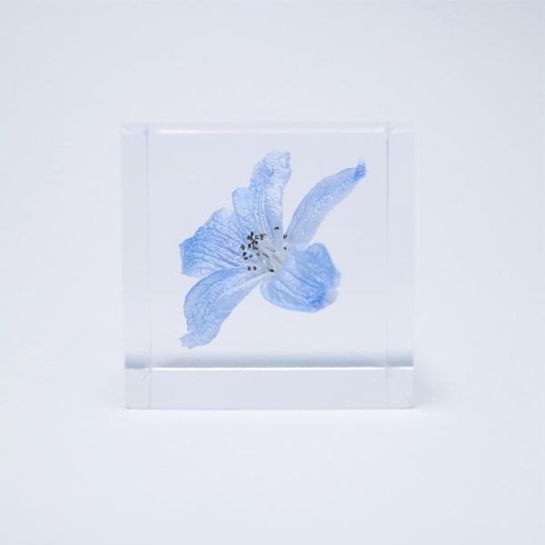 ɸ�� Ω�� �� �޴� �ɥ饤�ե� ����ƥꥢ sora cube �� ���塼�� �ǥ�ե��˥��� ���ե� �ץ쥼��������� ���ꥹ�ޥ� ���� ���� ���� ���� ����̵�� ��åԥ��б� 