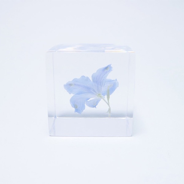 ɸ�� Ω�� �� �޴� �ɥ饤�ե� ����ƥꥢ sora cube �� ���塼�� �ǥ�ե��˥��� ���ե� �ץ쥼��������� ���ꥹ�ޥ� ���� ���� ���� ���� ����̵�� ��åԥ��б� 