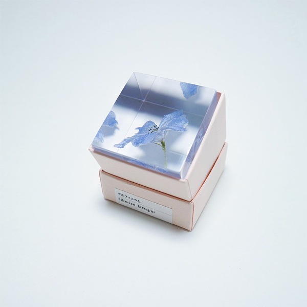 ɸ�� Ω�� �� �޴� �ɥ饤�ե� ����ƥꥢ sora cube �� ���塼�� �ǥ�ե��˥��� ���ե� �ץ쥼��������� ���ꥹ�ޥ� ���� ���� ���� ���� ����̵�� ��åԥ��б� 