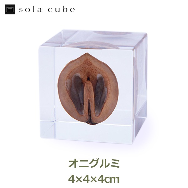 ɸ�� Ω�� ������� �� �޴� �ɥ饤�ե� ����ƥꥢ ���� sora cube �� ���塼�� ���˥���� ������ ���ե� �ץ쥼��������� ���ꥹ�ޥ� ���� ���� ���� ��åԥ��б� 