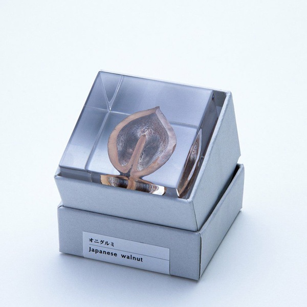 ɸ�� Ω�� ������� �� �޴� �ɥ饤�ե� ����ƥꥢ ���� sora cube �� ���塼�� ���˥���� ������ ���ե� �ץ쥼��������� ���ꥹ�ޥ� ���� ���� ���� ��åԥ��б� 