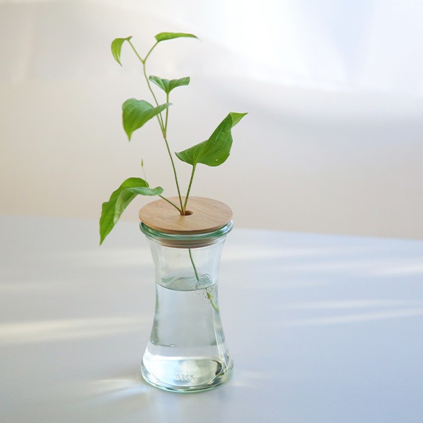 ɥ ܥȥ ǥꥫ ƥå180ml WW S108 DRINK BOTTLE DELIKATESSEN WECK å 饹 å ֥顼 ¸ƴ 襤  ץ 