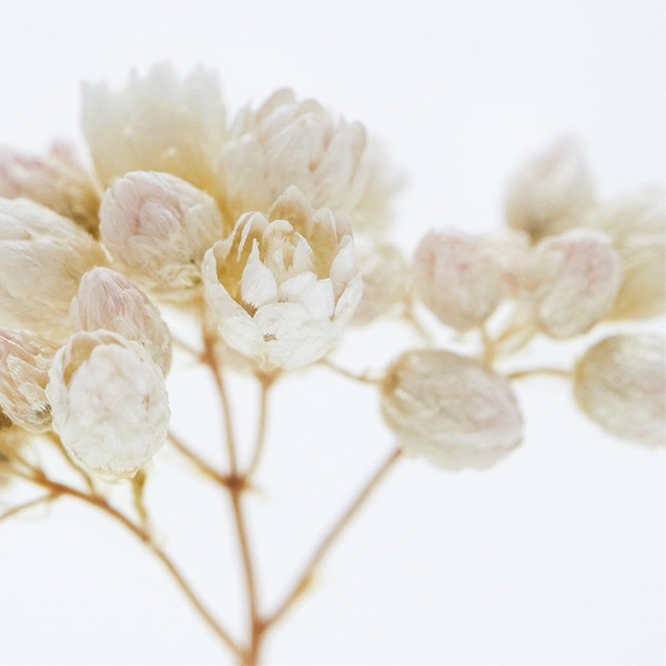 ɸ�� Ω�� ������� �� �޴� �ɥ饤�ե� ����ƥꥢ sora cube �� ���塼�� �饤���ե� ���ե� �ץ쥼��������� ���ꥹ�ޥ� ���� ���� ���� ���� ����̵�� ��åԥ��б� 