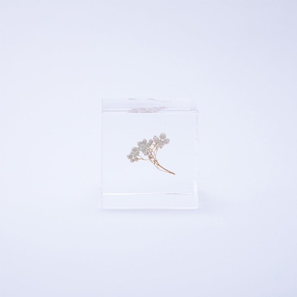 ɸ�� Ω�� ������� �� �޴� �ɥ饤�ե� ����ƥꥢ sora cube �� ���塼�� �饤���ե� ���ե� �ץ쥼��������� ���ꥹ�ޥ� ���� ���� ���� ���� ����̵�� ��åԥ��б� 