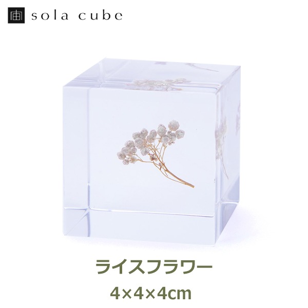 ɸ�� Ω�� ������� �� �޴� �ɥ饤�ե� ����ƥꥢ sora cube �� ���塼�� �饤���ե� ���ե� �ץ쥼��������� ���ꥹ�ޥ� ���� ���� ���� ���� ����̵�� ��åԥ��б� 