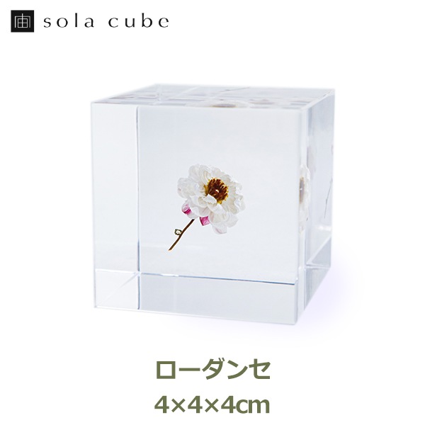 パステル画 植物と天体 A4サイズ宙花 パステル画 植物と天体 A4サイズ宙花