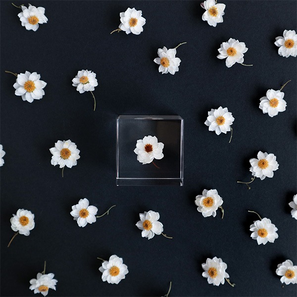 ɸ�� Ω�� ������� �� �޴� �ɥ饤�ե� ����ƥꥢ ���� sora cube �� ���塼�� �������� �򤤲� ɱ���ٹ� ������ 2�� ���ե� �ץ쥼��� ���� ���� ���� ��åԥ��б� 