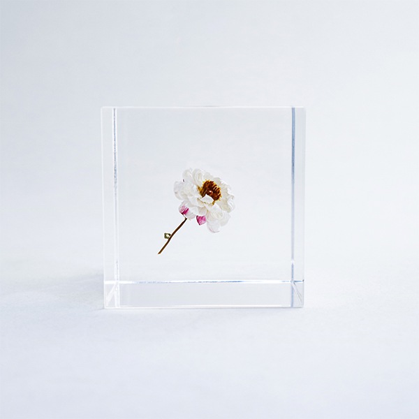 ɸ�� Ω�� ������� �� �޴� �ɥ饤�ե� ����ƥꥢ ���� sora cube �� ���塼�� �������� �򤤲� ɱ���ٹ� ������ 2�� ���ե� �ץ쥼��� ���� ���� ���� ��åԥ��б� 