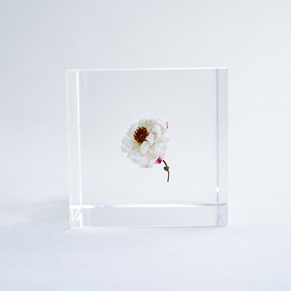 ɸ�� Ω�� ������� �� �޴� �ɥ饤�ե� ����ƥꥢ ���� sora cube �� ���塼�� �������� �򤤲� ɱ���ٹ� ������ 2�� ���ե� �ץ쥼��� ���� ���� ���� ��åԥ��б� 