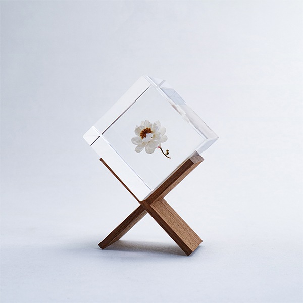 ɸ�� Ω�� ������� �� �޴� �ɥ饤�ե� ����ƥꥢ ���� sora cube �� ���塼�� �������� �򤤲� ɱ���ٹ� ������ 2�� ���ե� �ץ쥼��� ���� ���� ���� ��åԥ��б� 