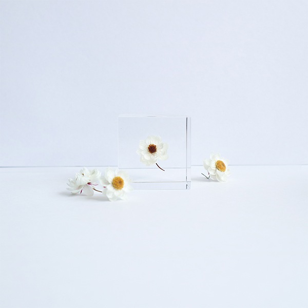 ɸ�� Ω�� ������� �� �޴� �ɥ饤�ե� ����ƥꥢ ���� sora cube �� ���塼�� �������� �򤤲� ɱ���ٹ� ������ 2�� ���ե� �ץ쥼��� ���� ���� ���� ��åԥ��б� 