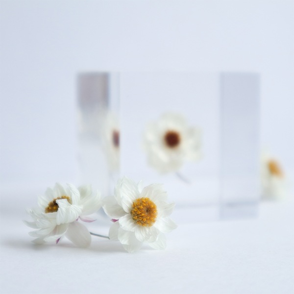 ɸ�� Ω�� ������� �� �޴� �ɥ饤�ե� ����ƥꥢ ���� sora cube �� ���塼�� �������� �򤤲� ɱ���ٹ� ������ 2�� ���ե� �ץ쥼��� ���� ���� ���� ��åԥ��б� 