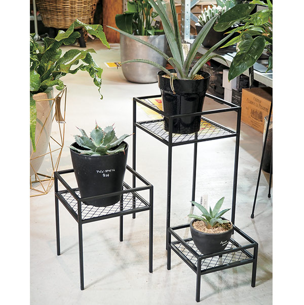 �ե�������� �ץ�󥿡�������� �����ǥ��å� ����ȭ ������� ���� ���� ���� ȭ������� �ե���å� �ץ�󥿡��������S������ 6269 ¼�Ĳ����� ����̵�� 