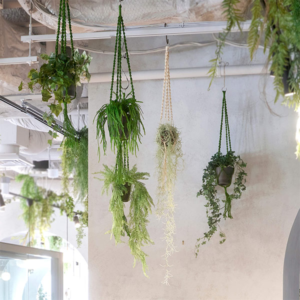 �ե��������꡼�� ���տ�ʪ �͹����տ�ʪ ¤�� �ɳݤ� �ϥ󥭥� ���奬���Х��� �ݥå� �ޥ����ϥ󥮥� ������� ����ƥꥢ �ߤ뤹 PRGR-1483 GREENPARK 