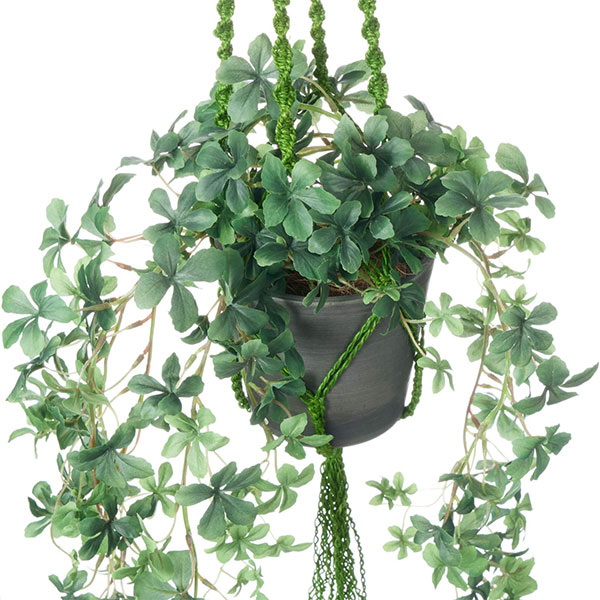 �ե��������꡼�� ���տ�ʪ �͹����տ�ʪ ¤�� �ɳݤ� �ϥ󥭥� ���奬���Х��� �ݥå� �ޥ����ϥ󥮥� ������� ����ƥꥢ �ߤ뤹 PRGR-1483 GREENPARK 