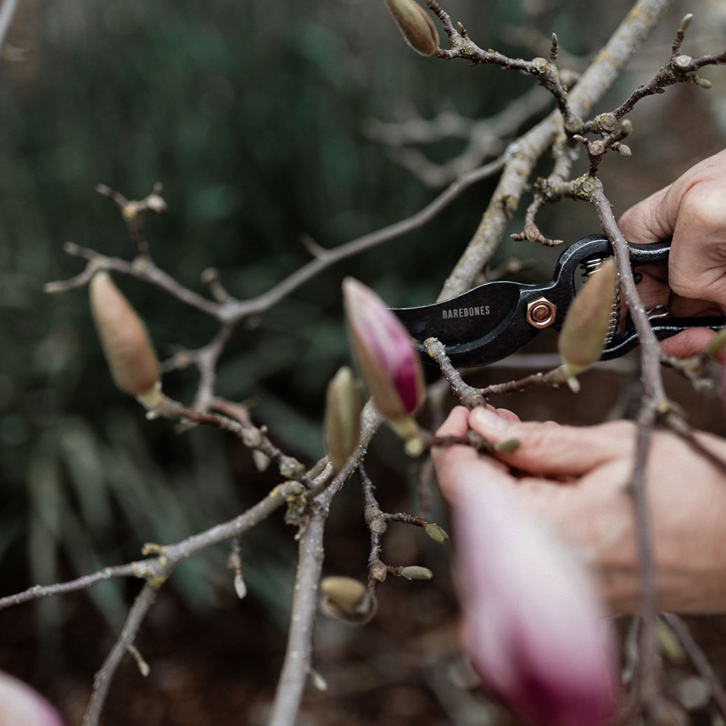 ����Ф��� ���ƥ�쥹 22cm �������դ� ������� �����ǥ˥� ����� ���� �����ڱ� ������ ���ѵ� ���ʼ� ���� �ץ쥼��� �᥿��ץ롼�ʡ� �٥��ܡ��� 