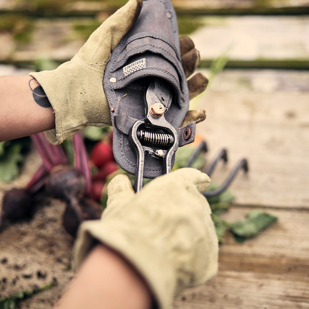 ����Ф��� ���ƥ�쥹 22cm �������դ� ������� �����ǥ˥� ����� ���� �����ڱ� ������ ���ѵ� ���ʼ� ���� �ץ쥼��� �᥿��ץ롼�ʡ� �٥��ܡ��� 