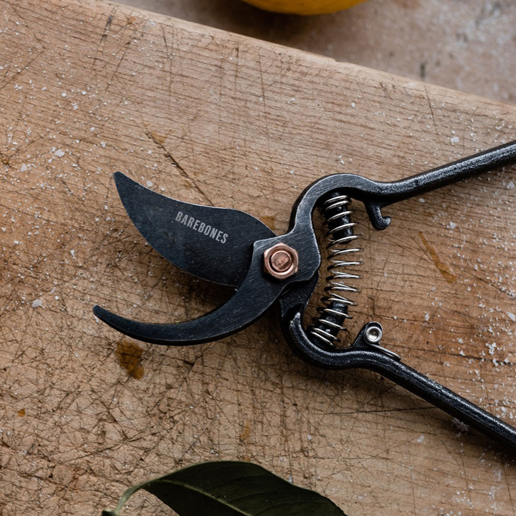 ����Ф��� ���ƥ�쥹 22cm �������դ� ������� �����ǥ˥� ����� ���� �����ڱ� ������ ���ѵ� ���ʼ� ���� �ץ쥼��� �᥿��ץ롼�ʡ� �٥��ܡ��� 