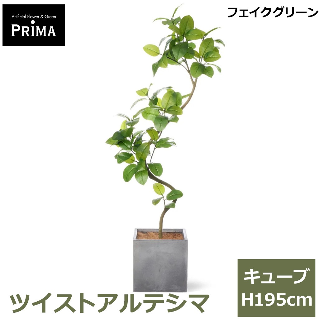 ����ƥ��� �ĥ����� �ե��������꡼�� �緿 �͹����տ�ʪ ¤�� ����ƥꥢ���꡼�� �ץ�󥿡��դ� H195cm ���տ�ʪ ������� �������� PRGR-1544 GREENPARK ����̵�� 