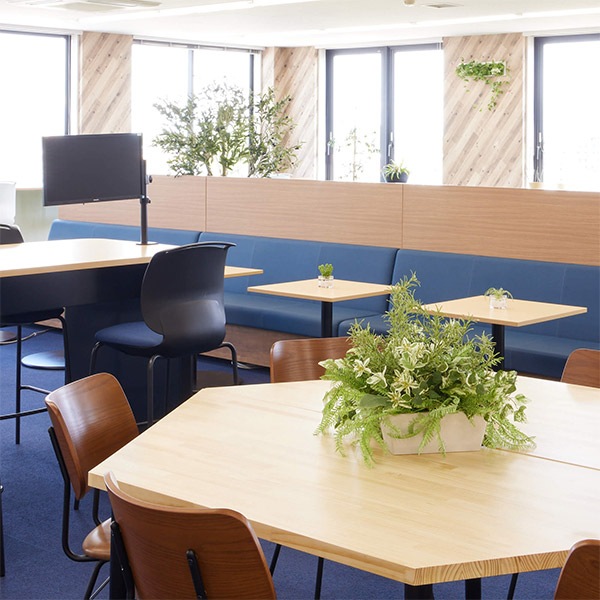 �ե��������꡼�� ���տ�ʪ �͹����տ�ʪ ¤�� ��� �����󥿡� �ѡ��ơ������ �ϥĥ業���� �������ޥ꡼ �ץߥ� 3�ĥ��å� ������� PRGR-1416 GREENPARK ����̵�� 