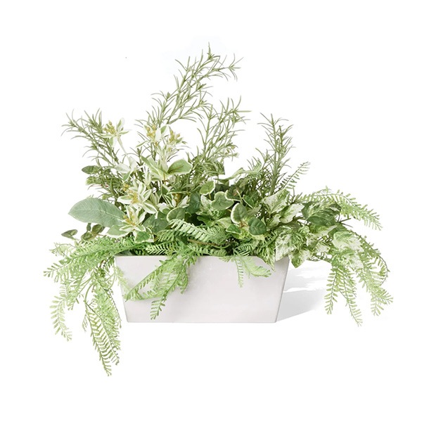 �ե��������꡼�� ���տ�ʪ �͹����տ�ʪ ¤�� ��� �����󥿡� �ѡ��ơ������ �ϥĥ業���� �������ޥ꡼ �ץߥ� 3�ĥ��å� ������� PRGR-1416 GREENPARK ����̵�� 