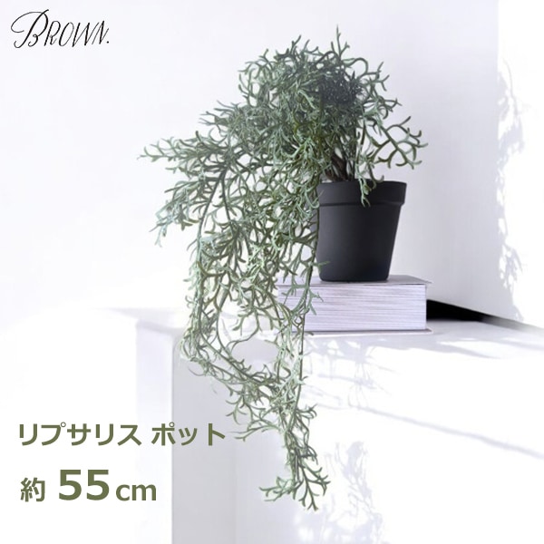 フェイク グリーン おしゃれ 吊るす リプサリス 長さ 55cm 造花 多肉