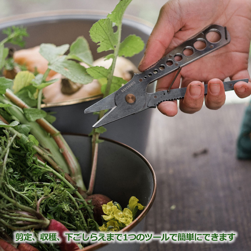 �ϡ��� ���� ���� �ϥ��� ���ȥ�å� ���ȥ�åѡ� 8�� �ġ��� �� Ŧ�� Ŧ���� Ŧ�߼�� ��ñ ƻ�� �٥��ܡ��� ����֥� �ϡ��٥��� �����ǥ˥� ��� �� ��ʪ ������ 